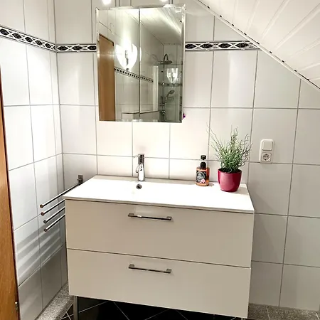 Appartement Domus Palatina & Business Hanhofen